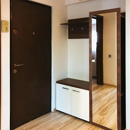 アパート New Aviatiei Business District Modern Flat With Free Netflix ブカレスト