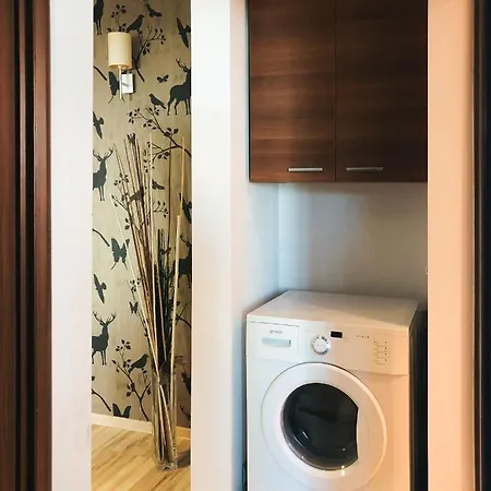 Apartment New Aviatiei Business District Modern Flat With Free Netflix